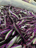 A.M. Fishing Lures